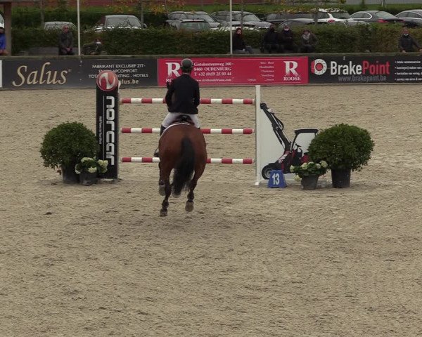 FEI Reitturnier Lier (BEL) 2020