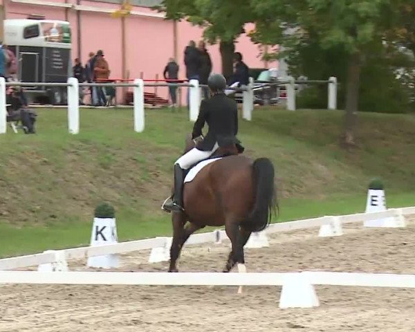 Reitturnier Remlingen/Ufr. 2020