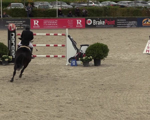 FEI Reitturnier Lier (BEL) 2020