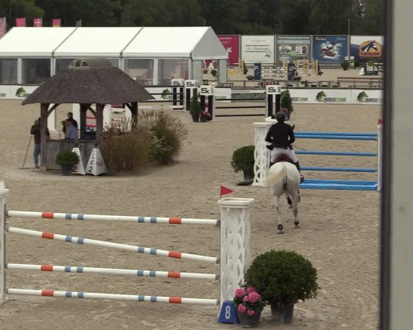 FEI Reitturnier Lier (BEL) 2020