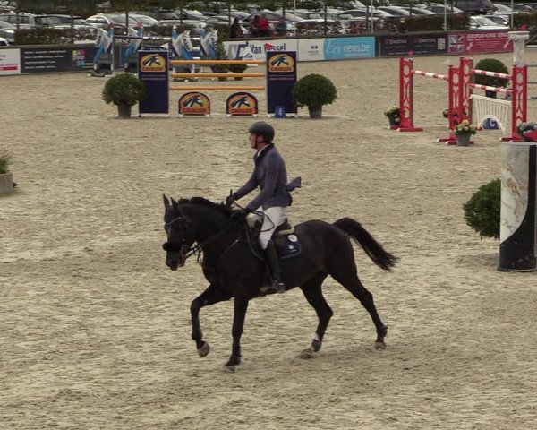 FEI Reitturnier Lier (BEL) 2020