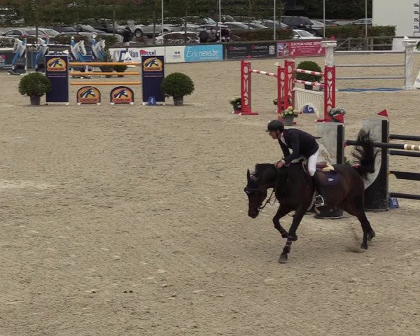 FEI Reitturnier Lier (BEL) 2020