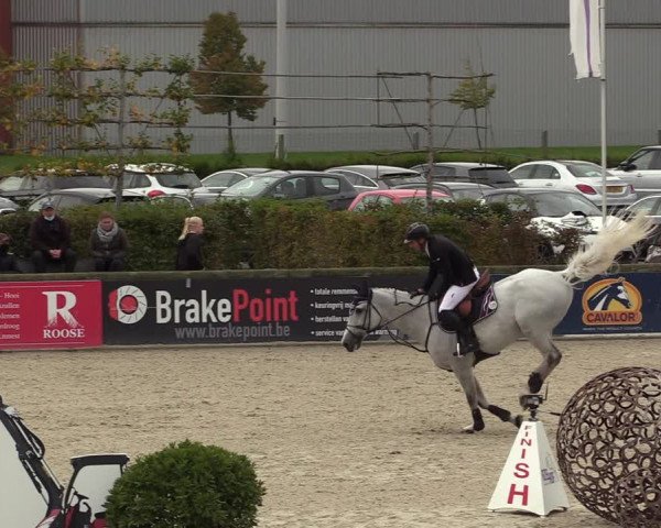FEI Reitturnier Lier (BEL) 2020