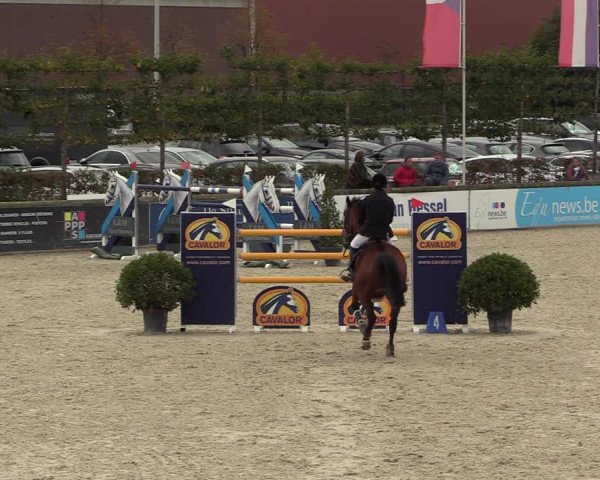 FEI Reitturnier Lier (BEL) 2020