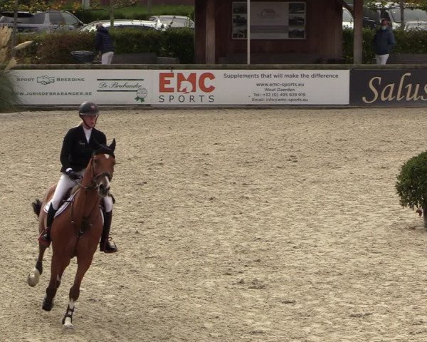 FEI Reitturnier Lier (BEL) 2020