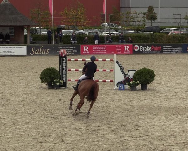FEI Reitturnier Lier (BEL) 2020