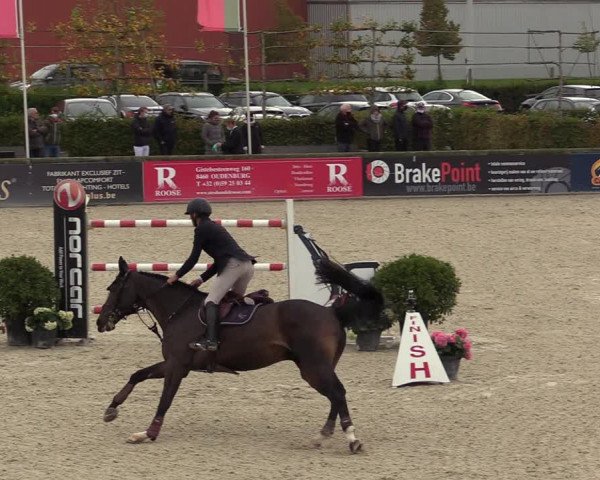 FEI Reitturnier Lier (BEL) 2020