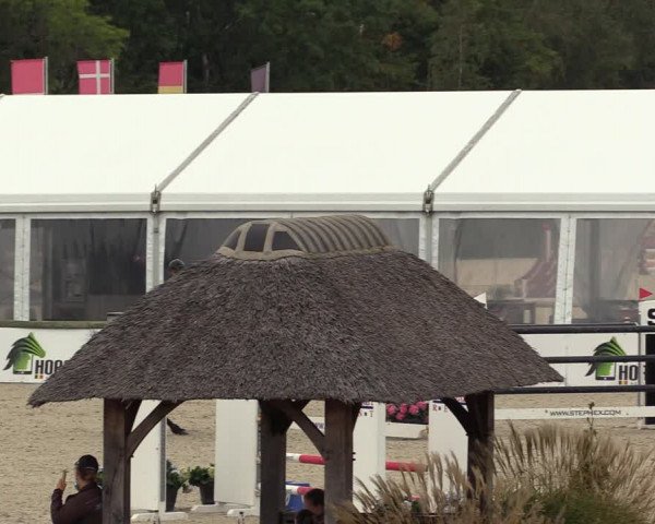 FEI Reitturnier Lier (BEL) 2020