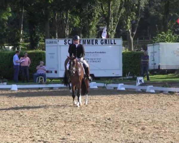 dressage horse Amperio 2 (Westphalian, 2010, from Ampère)