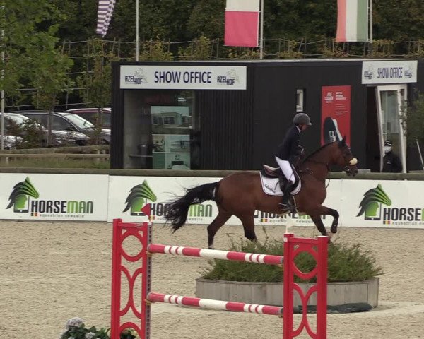 FEI Reitturnier Lier (BEL) 2020