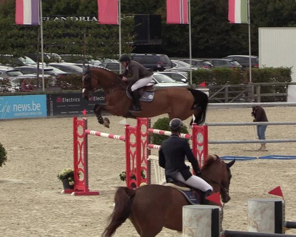 FEI Reitturnier Lier (BEL) 2020