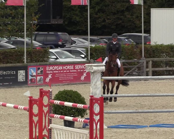 FEI Reitturnier Lier (BEL) 2020