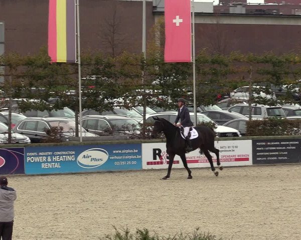 FEI Reitturnier Lier (BEL) 2020