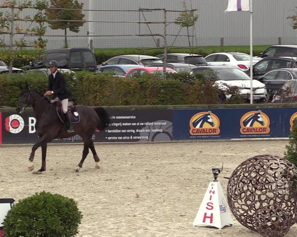 FEI Reitturnier Lier (BEL) 2020