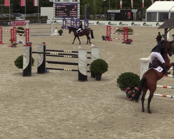 FEI Reitturnier Lier (BEL) 2020
