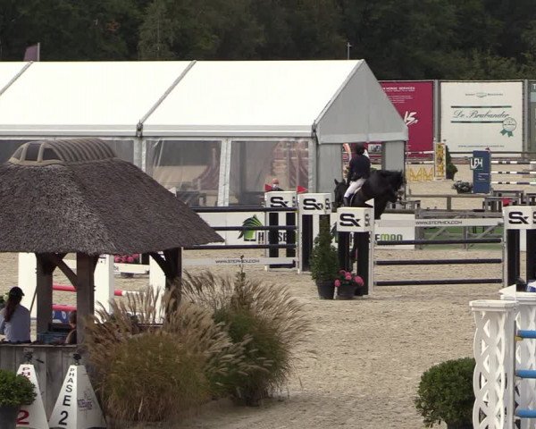 FEI Reitturnier Lier (BEL) 2020