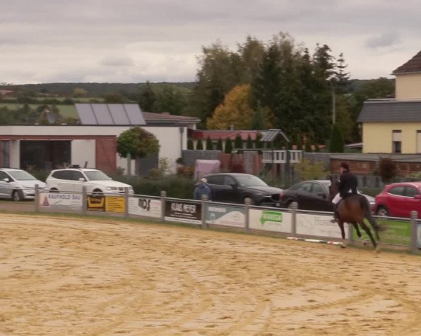 Reitturnier Dingelstädt 2020