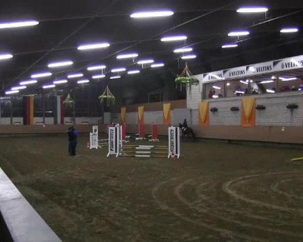 dressage horse Dancing Queen (German Riding Pony, 2000, from Dublin)