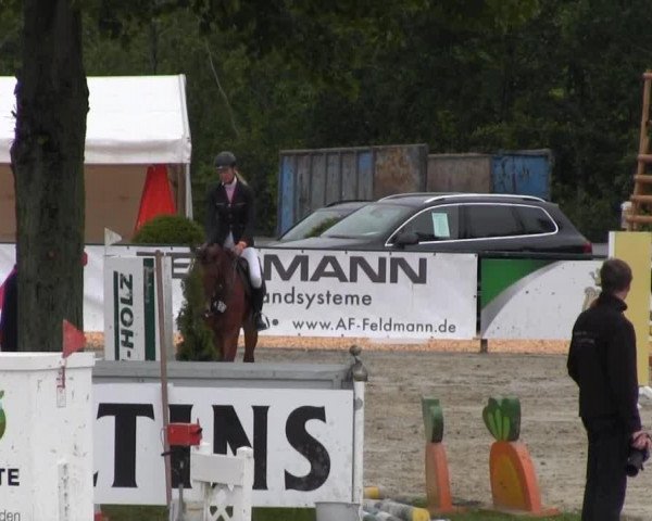 jumper Cosa Fiffi (Zangersheide riding horse, 2009, from Casmir Z)