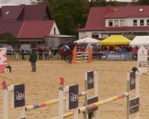 Reitturnier Dingelstädt 2020
