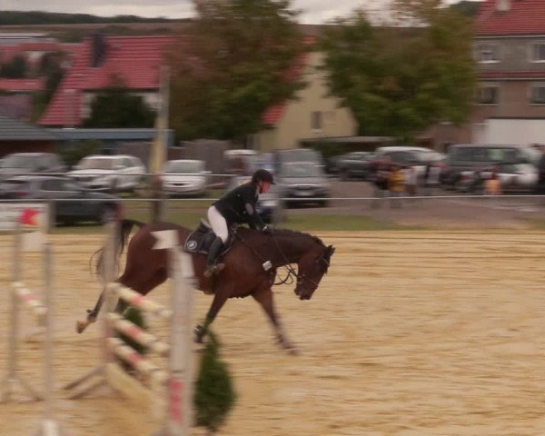 Reitturnier Dingelstädt 2020