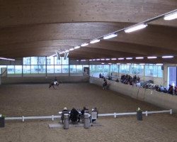 dressage horse Miramis (unknown, 2005)