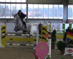 jumper Cantaloupe H (Westphalian, 2008, from Cristallo I)