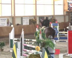 jumper Illingstoa (Bavarian, 2010, from Imperio 3)