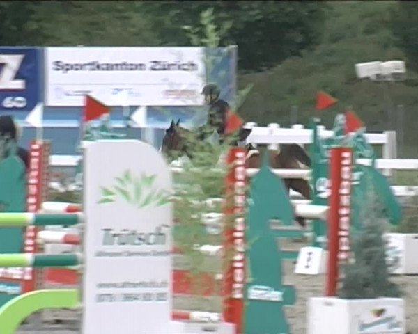 Reitturnier Hüntwangen 2020
