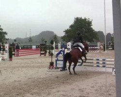 horse Crazylady (unknown,  )