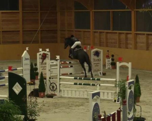 jumper Maracuja 7 (Rhinelander, 2008, from Dexter)