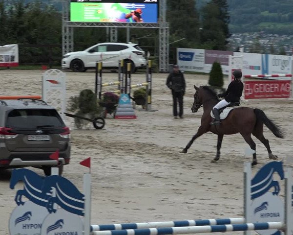 Reitturnier Wädenswil 2020
