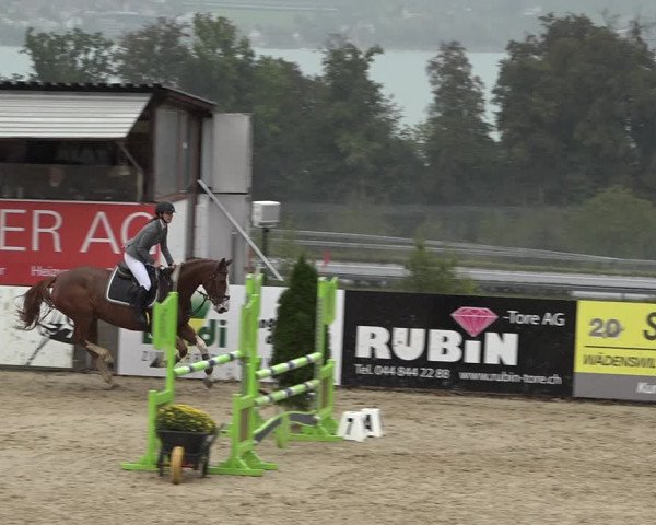 Reitturnier Wädenswil 2020