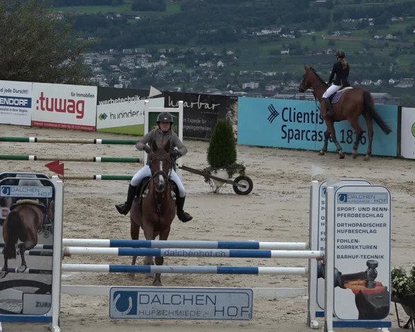 Reitturnier Wädenswil 2020