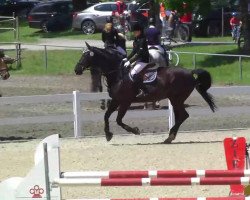 jumper Grandioso (unknown, 2012)