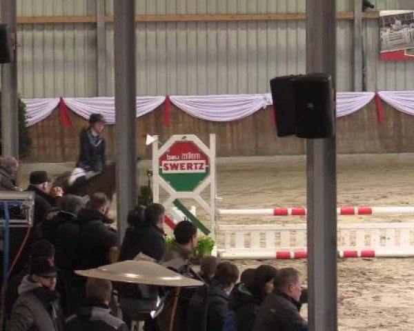 jumper Cinderella (Oldenburg, 2009, from Cascari)