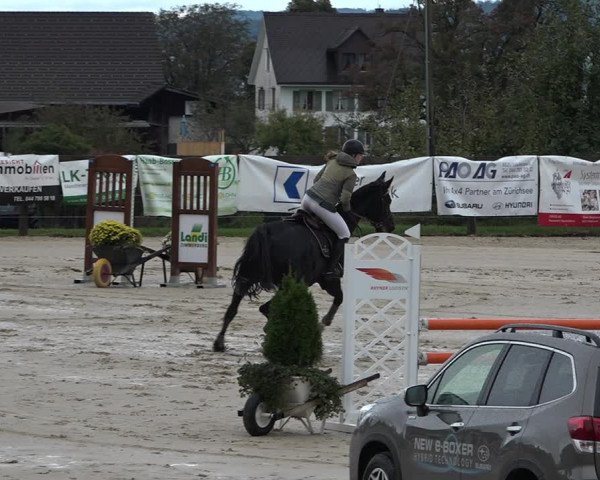 Reitturnier Wädenswil 2020