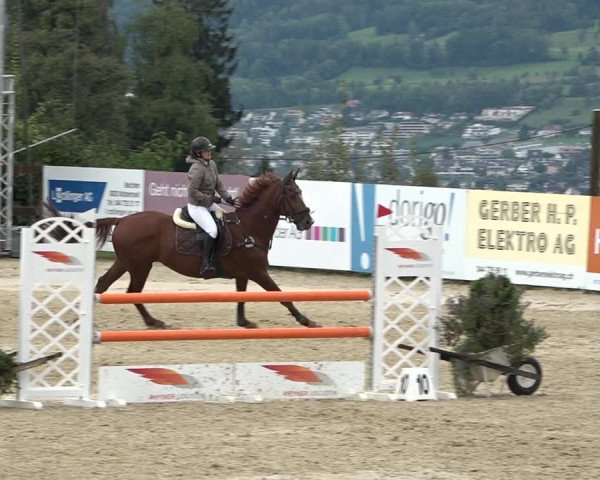 Reitturnier Wädenswil 2020