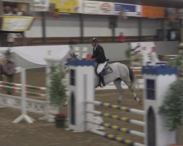 jumper Calli 19 (Westphalian, 2010, from Congress)