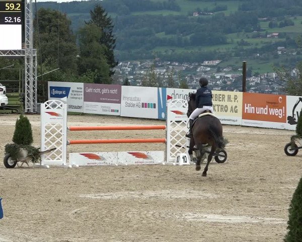 Reitturnier Wädenswil 2020