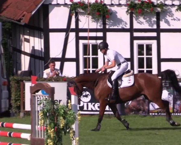 jumper Celly's Sun (Westphalian, 2010, from Carell)