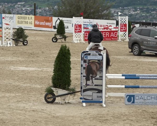 Reitturnier Wädenswil 2020