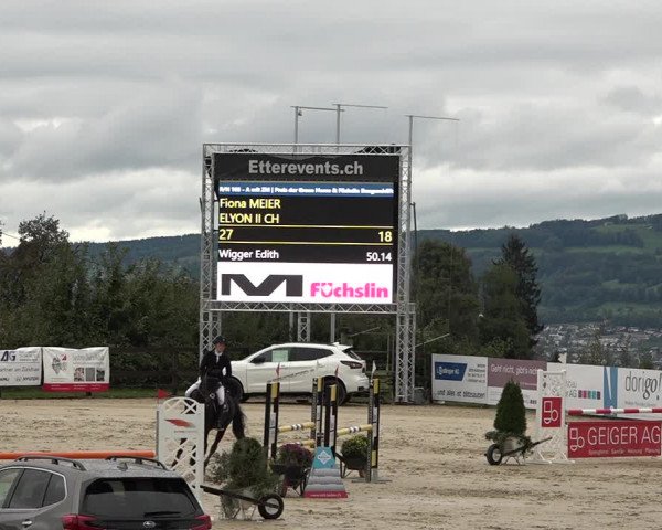 Reitturnier Wädenswil 2020