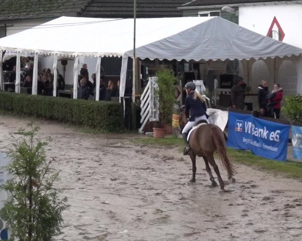Reitturnier Leverkusen - Teitscheider Hof 2020