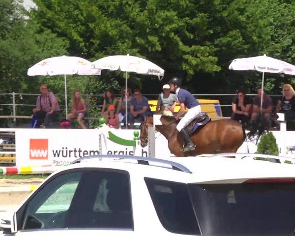 jumper Contello 6 (Bavarian, 2007, from Conte Cristo)