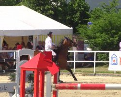 Springpferd Sputnik (Schwedisches Warmblut, 2004, von Spender S)