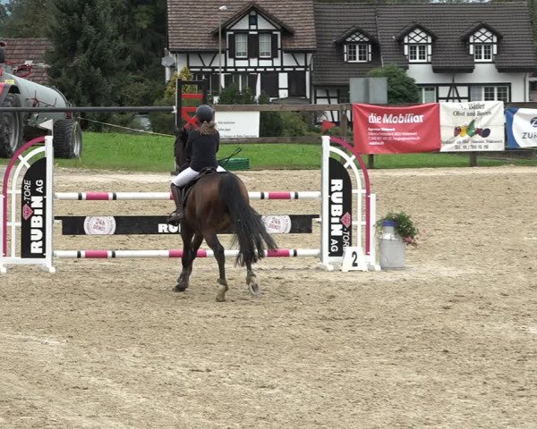 Reitturnier Wädenswil 2020