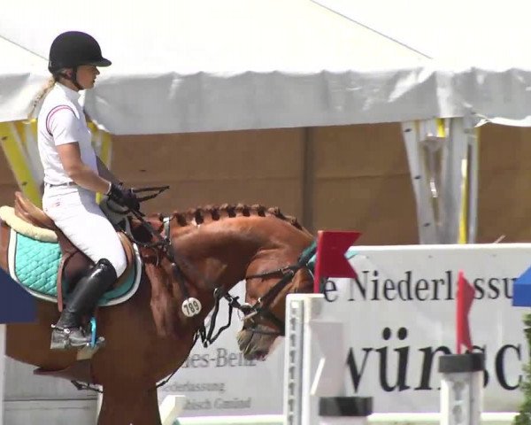 jumper Romeo Zfs (Oldenburg, 2007, from Rouletto)