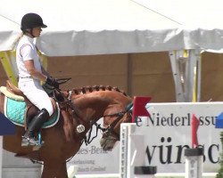 jumper Romeo Zfs (Oldenburg, 2007, from Rouletto)