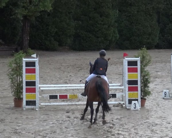 Reitturnier Leverkusen - Teitscheider Hof 2020